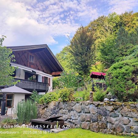 Ferienapartment Opitz - Zugspitzregion โอห์ลชตัดท์ ภายนอก รูปภาพ